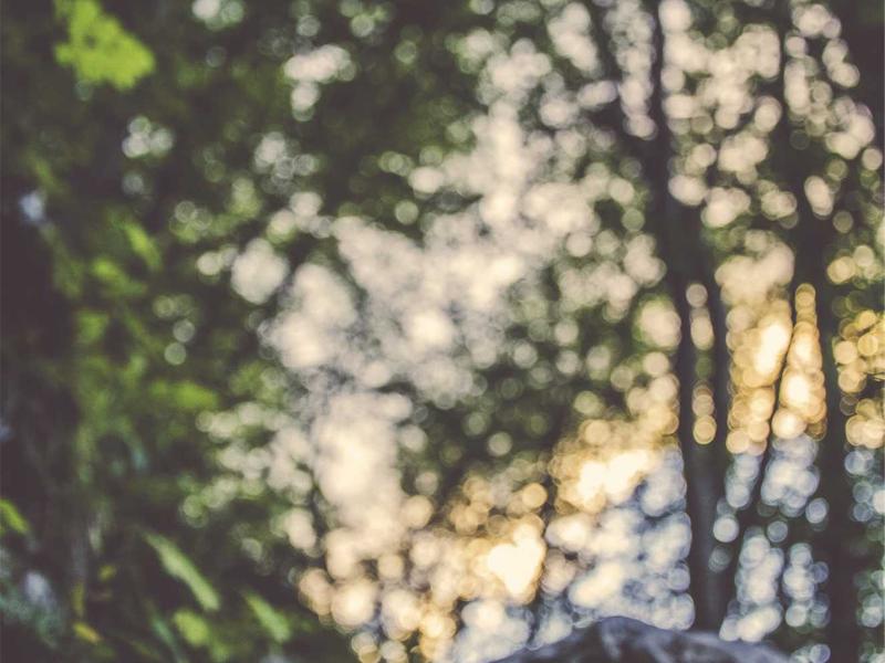 冰河世纪<br>aamotnk.cn 猛犸象迁徙录